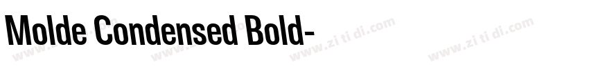 Molde Condensed Bold字体转换